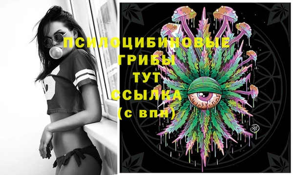 тгк Рославль