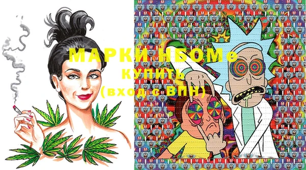 индика Россошь