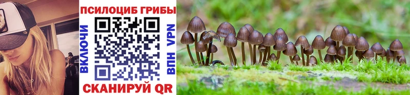 Псилоцибиновые грибы Magic Shrooms  Канск 