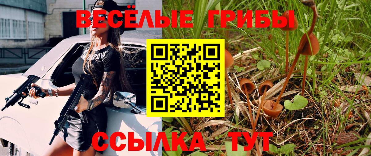 Псилоцибиновые грибы мухоморы  Псилоцибиновые грибы MAGIC MUSHROOMS  Канск  Вход с VPN 